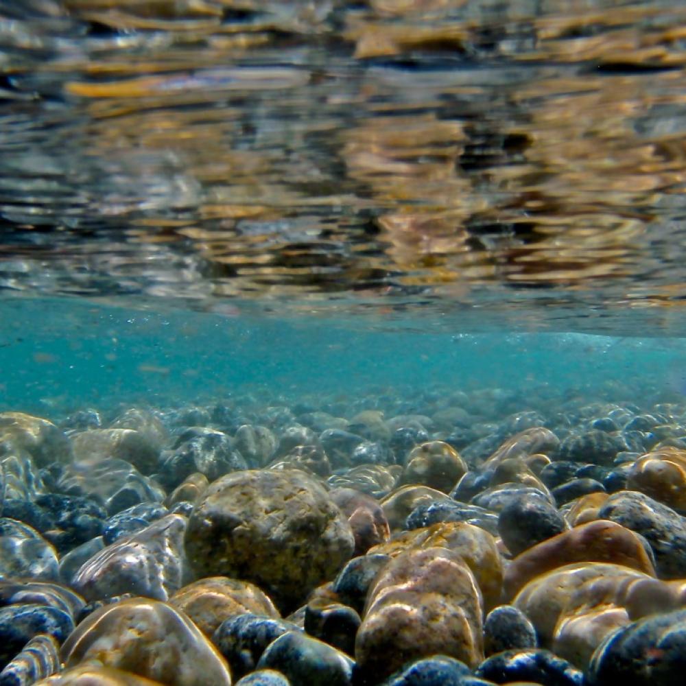 Tahoe Clarity