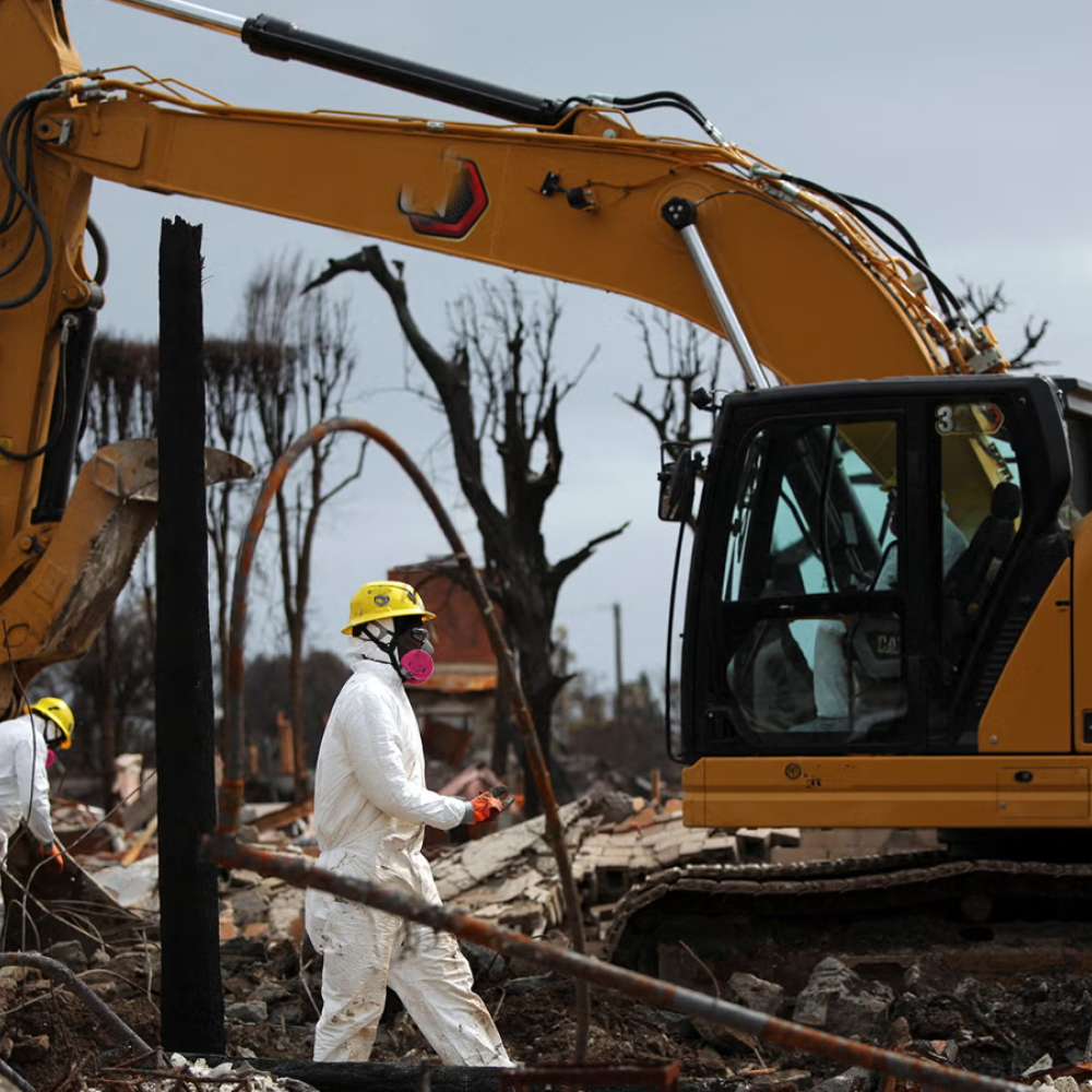 U.S. Army Corps of Engineers workers in white hazmat suits clearing debris among charred trees