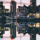 cityscape over the water in new zealand