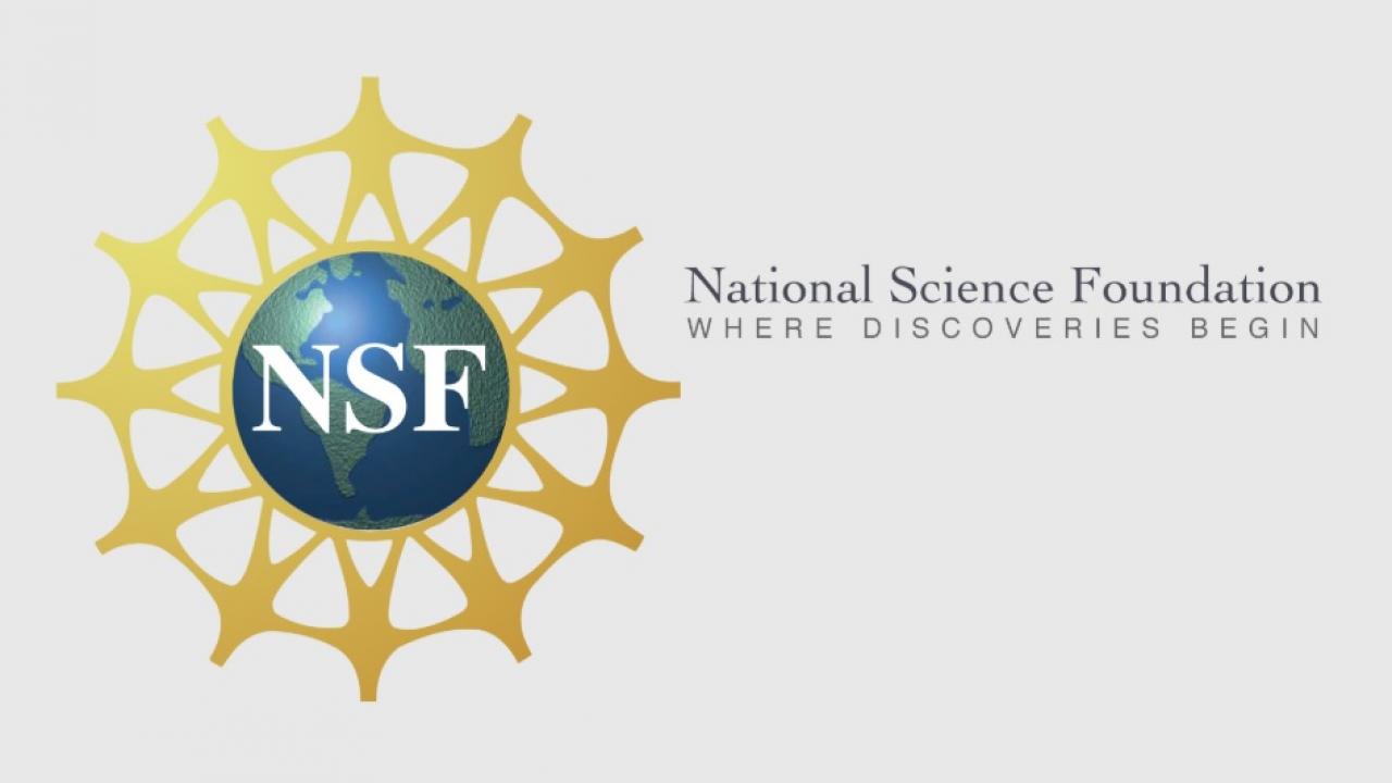 NSF Logo