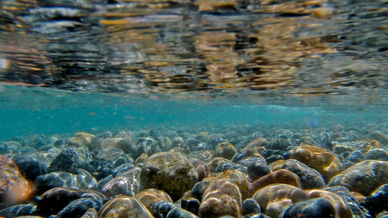 Lake Tahoe Clarity Level Bounces Back