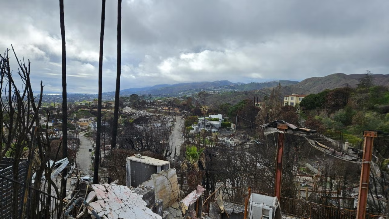 Burned hillside ruins with charred posts and cloudy sky