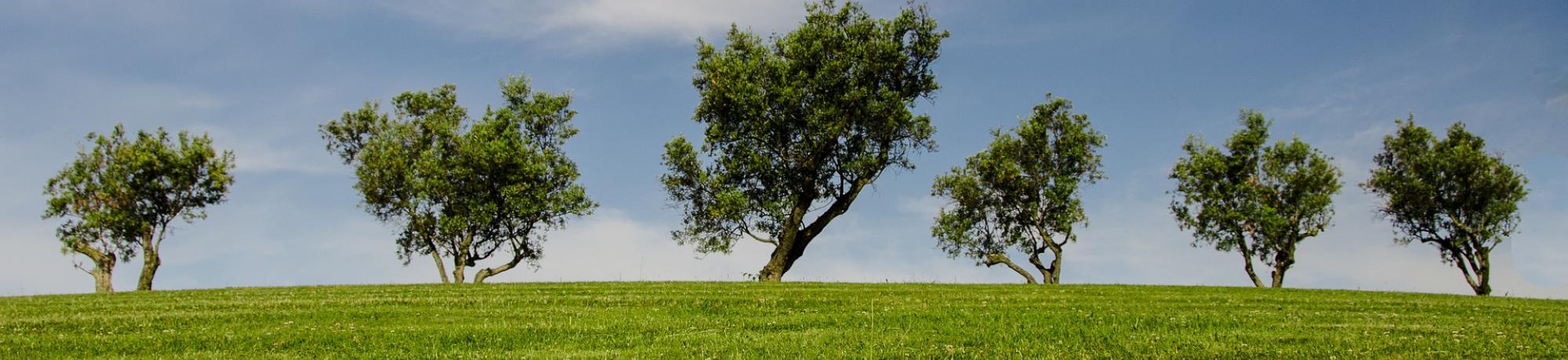 Environmental Engineering